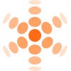 Optimum Solutions Pte Ltd logo