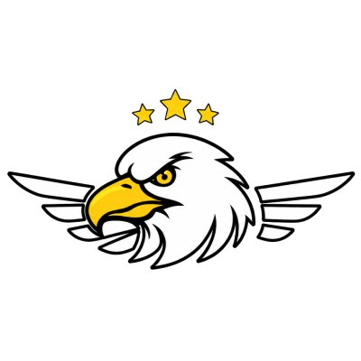 Falcon Fast Delivery Services L.L.C logo