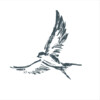 Inuka Partners logo