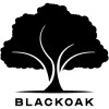 BlackOak Consulting Sdn Bhd logo